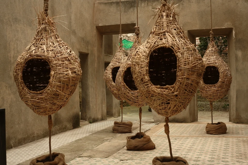 Instalación «Bosque hogar» de Giovanna Mosquera, fotografía 2