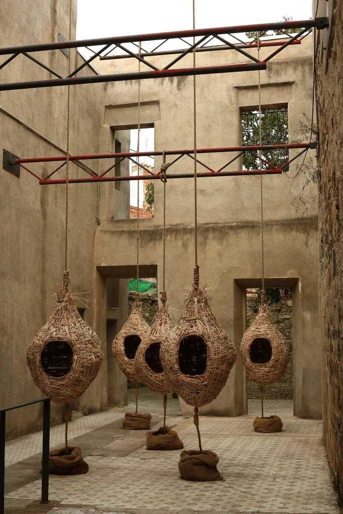 Instalación «Bosque hogar» de Giovanna Mosquera, fotografía 4