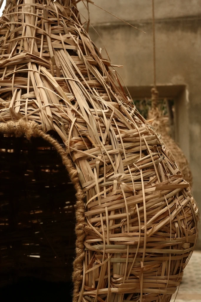 Instalación «Bosque hogar» de Giovanna Mosquera, fotografía 6