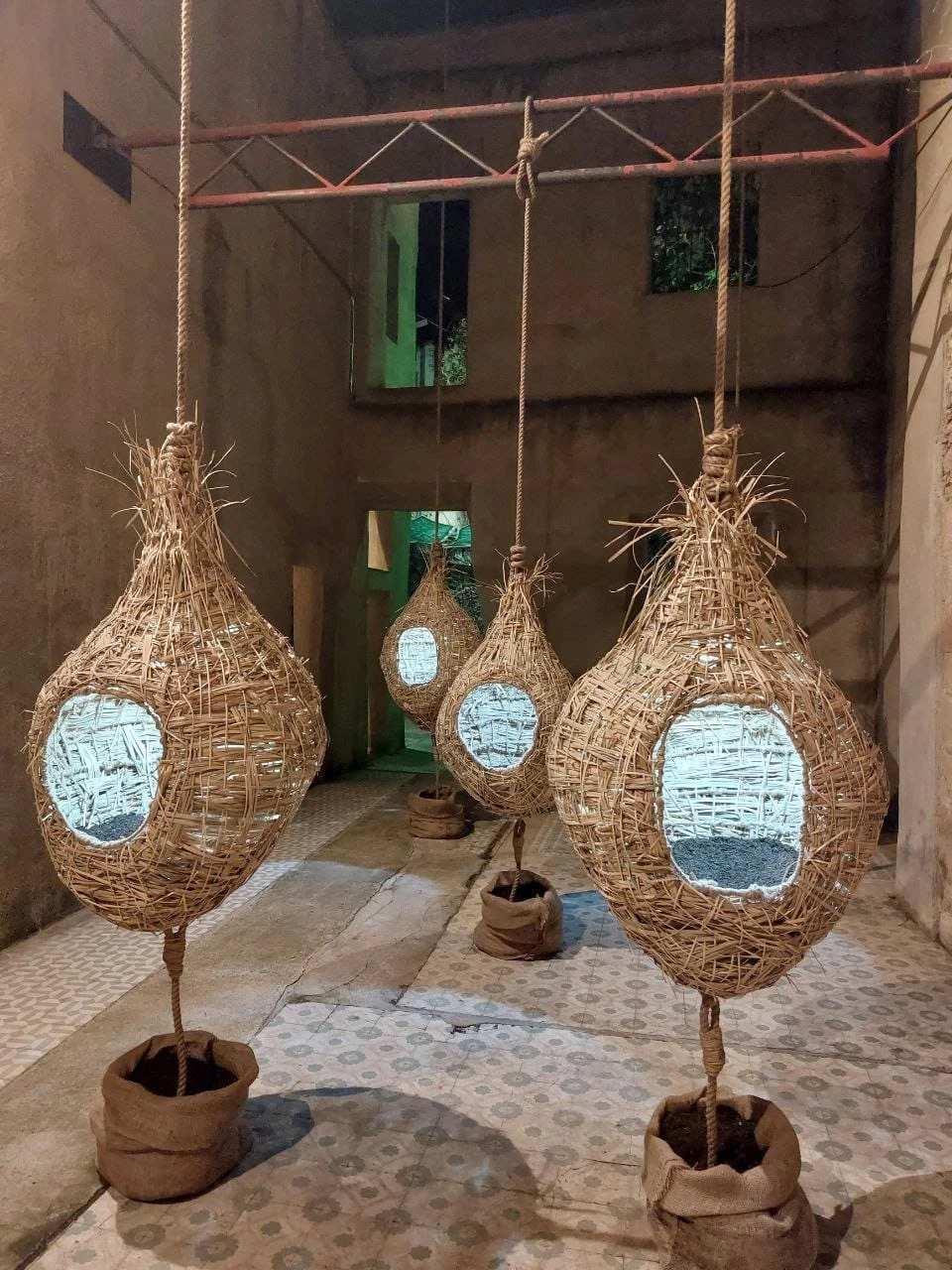 Instalación «Bosque hogar» de Giovanna Mosquera, fotografía 11