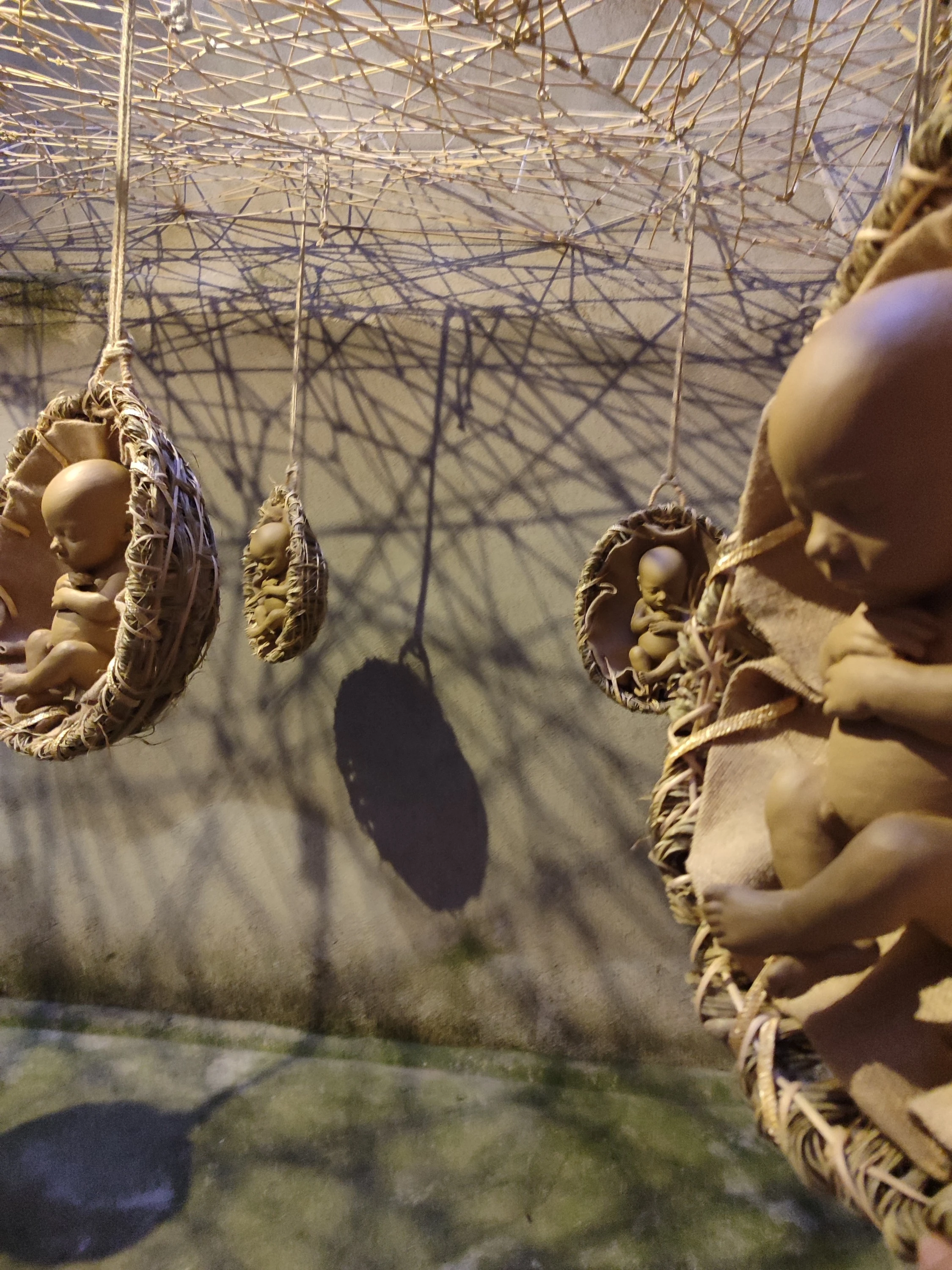 Instalación «Bosque vida» de Giovanna Mosquera, fotografía 6